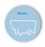 Mastitis EN-07.png