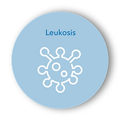 Leukosis EN.png