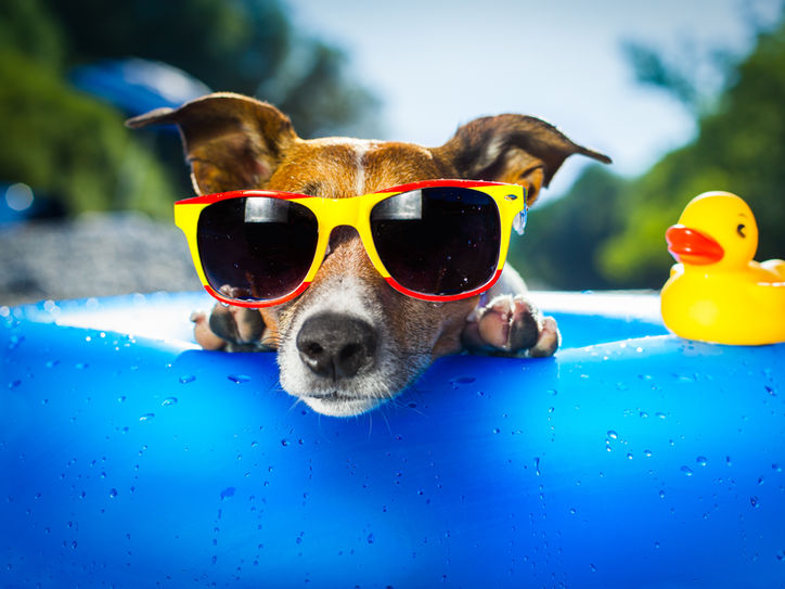 Evolving Experiences©