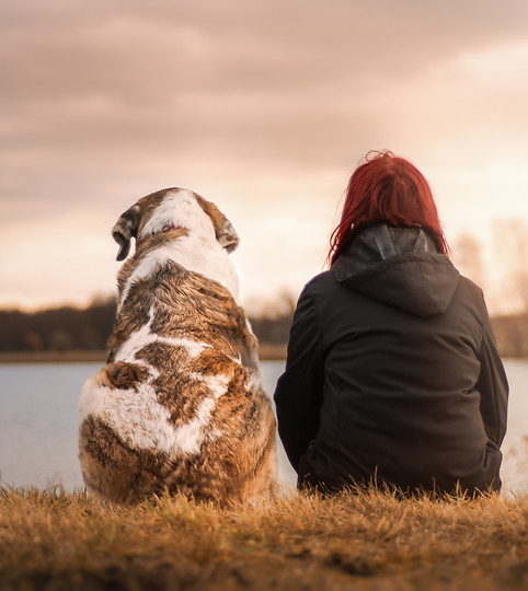 People have had partnerships with canines for centuries, and for good reason. Not only can