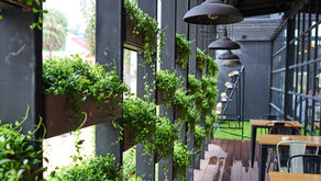 Up Close & Personal: Meet Melanie Corey-Ferrini