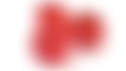 TRUE NORTH©: Should I Stay, Or Should I Go?