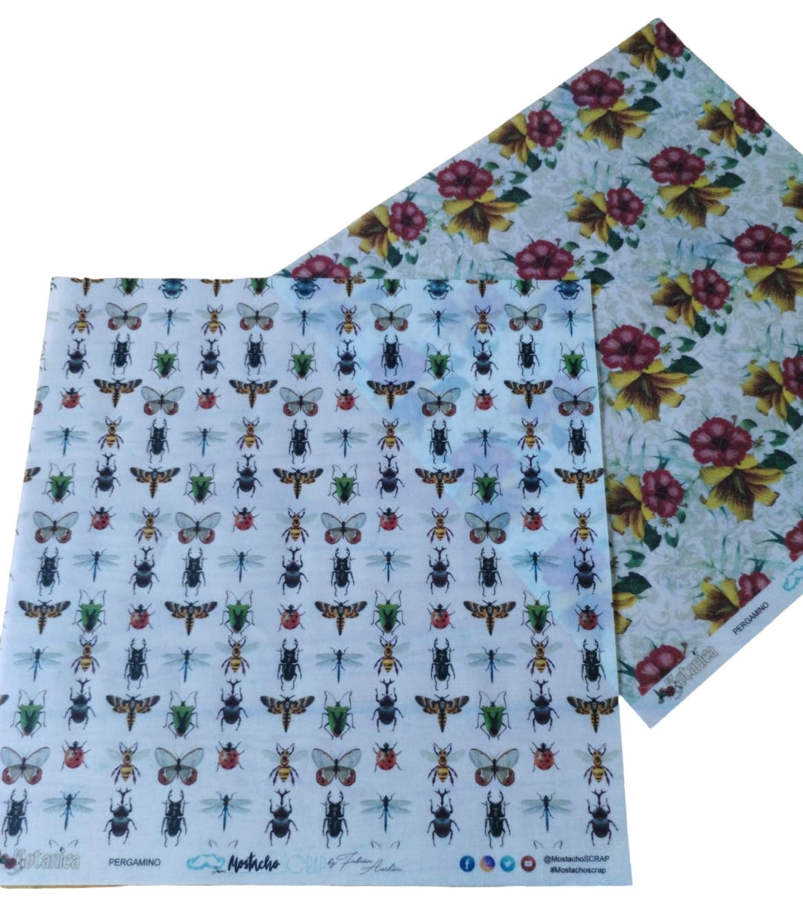 Pergamino  Botánica 01