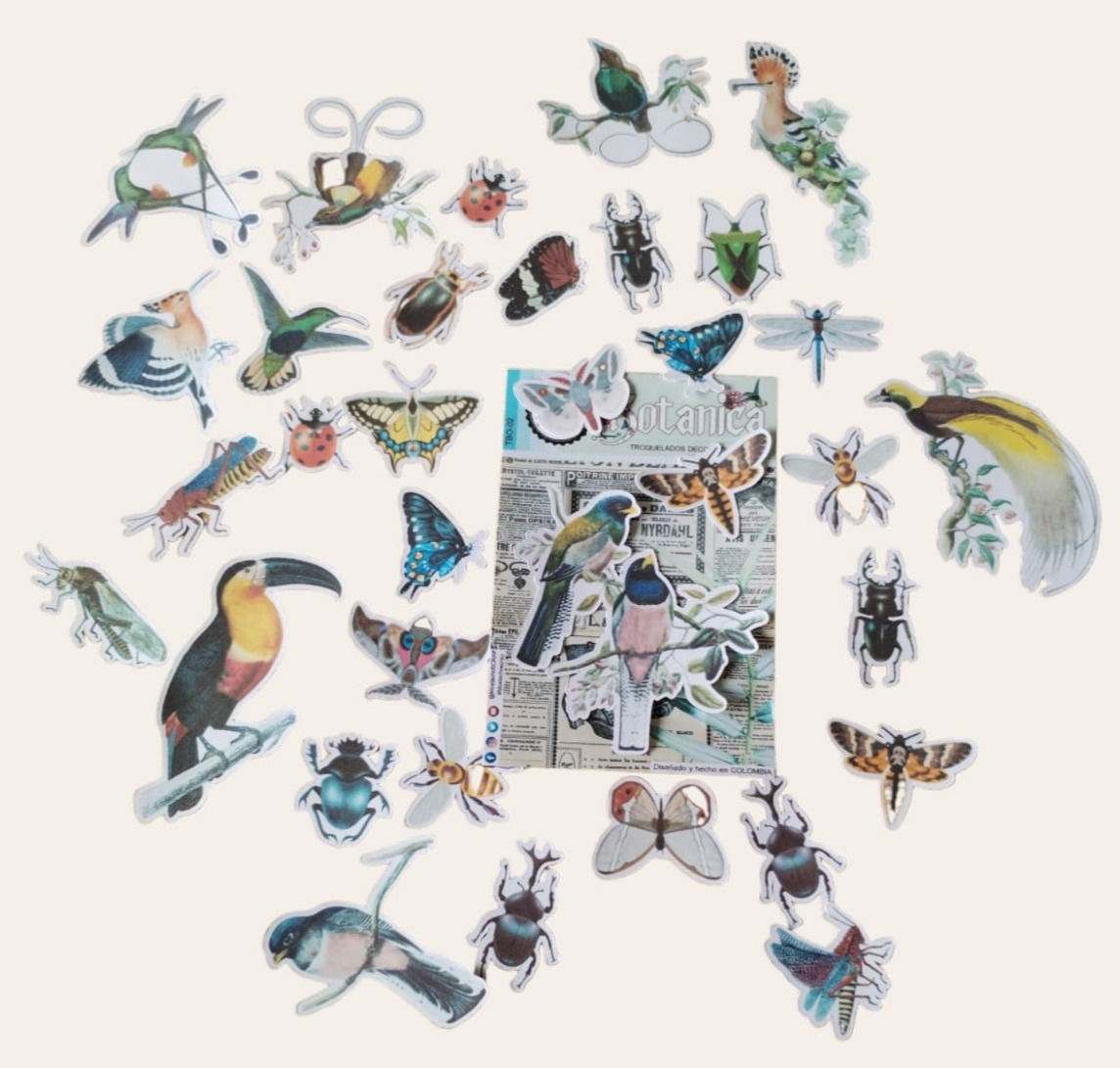 Troquelados Botánica 02