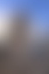 Wag more, bark less - your dog's silent tail signs.