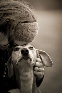 How Dogs Teach Us Gratitude