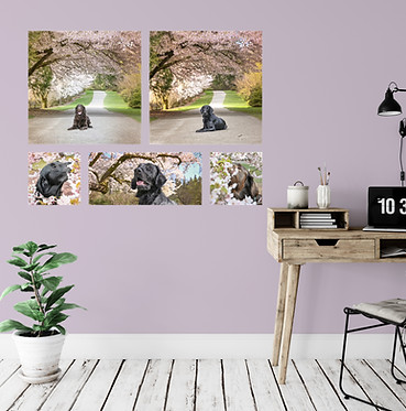 Wall Collection Cherry Blossom