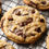 Thumbnail: Chocolate Chip Dozen