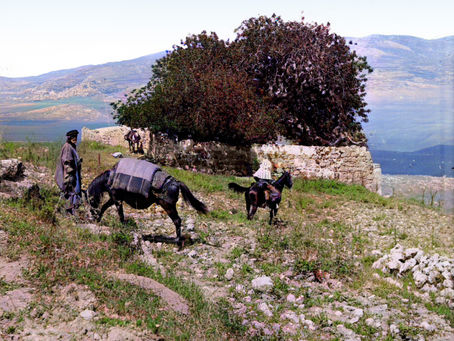 פרשת פִּינְחָס – בין המוסרי לאסתטי