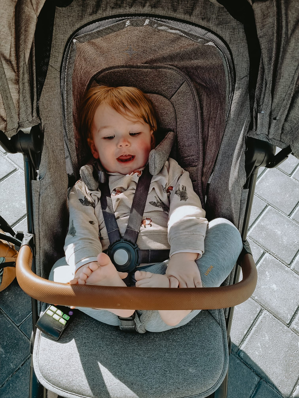 Peuter in reisbuggy