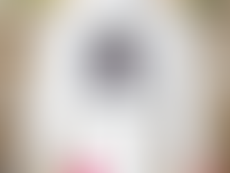 Premium team michael bb24 veto king shirt