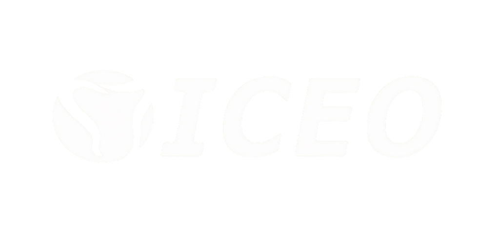 Iceo ensino