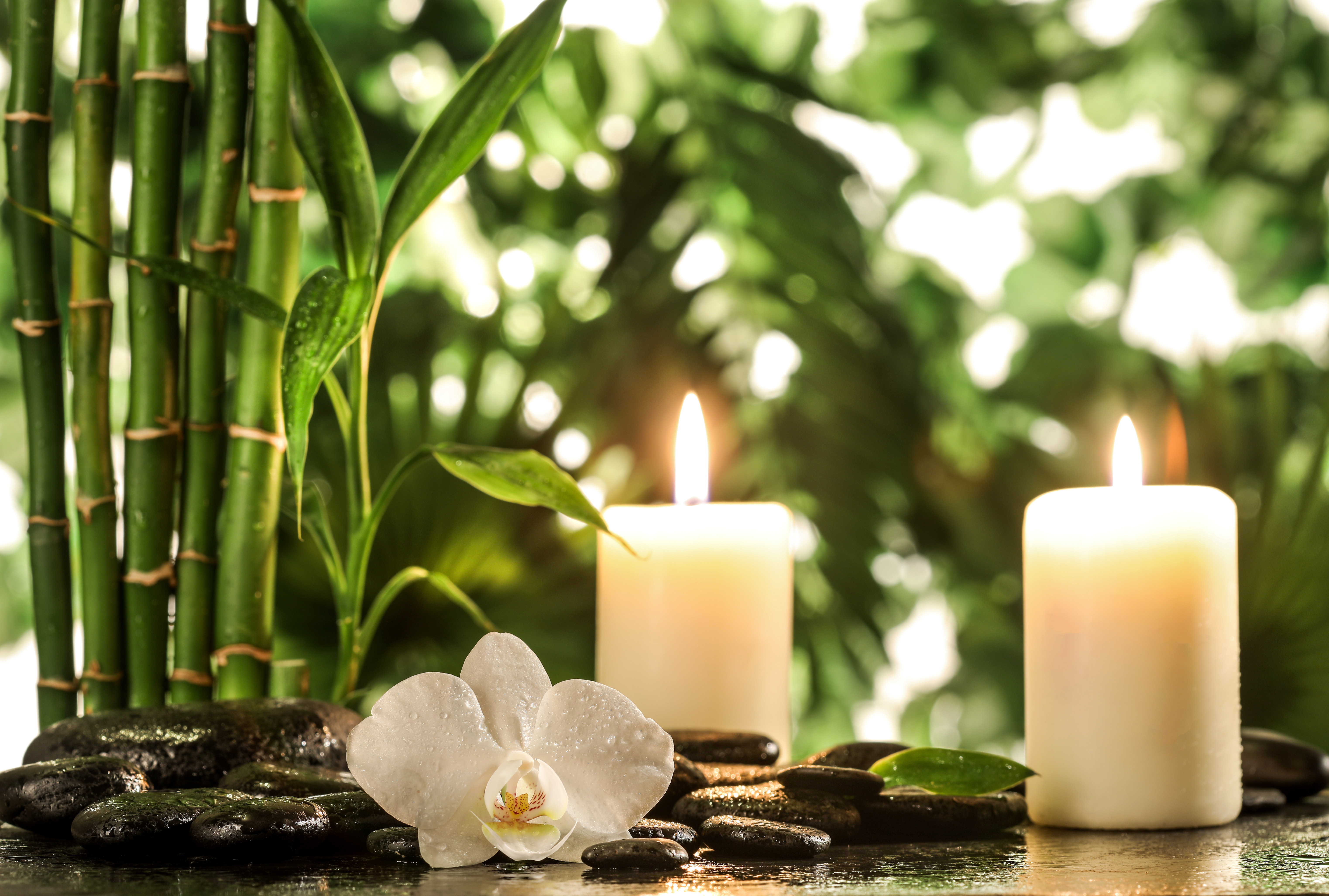 Handmade Soy Candles made with love and 100% natural in eco friendly packaging.