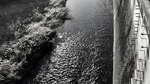 「逆流性食道炎」