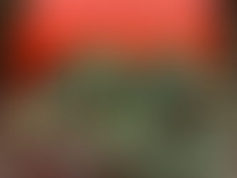 「疲れが抜けない/慢性疲労」