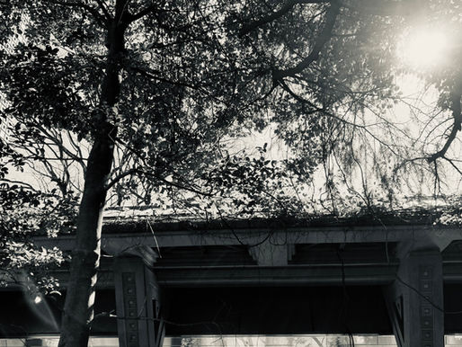 「咳が止まらない」