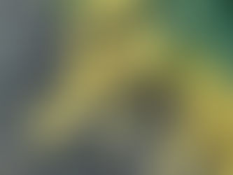 「貧血/漢方でのアプローチ」