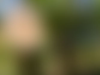 「ノドの違和感」