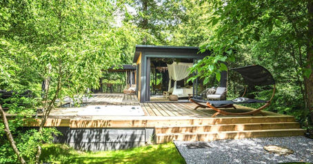 ✨🌿 En mai, la forêt vous murmure quelque chose… 🌳🍃