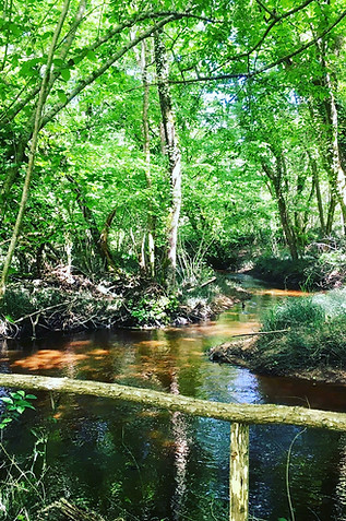 ruisseau cabiros so wood 33
