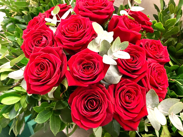 IMG_5825 (1)_edited.jpg