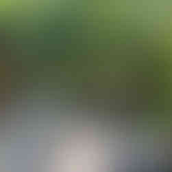 Pergola Bio Climatique cabane insolite bordeaux