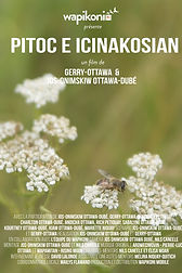 WAPI_Pitoc e icinakosian_Affiche_Sélection2020_FR.jpg