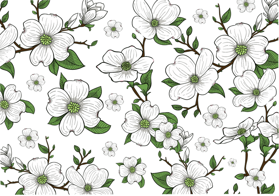 flowers_edited.png