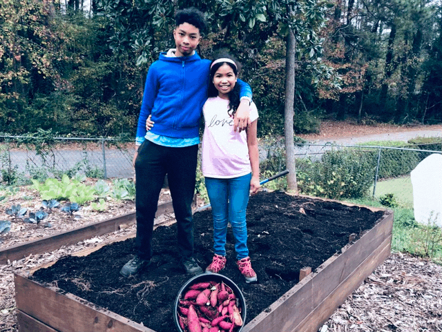 siblings sweet potato harvest