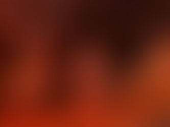 🐥 2 week update on the chicks.