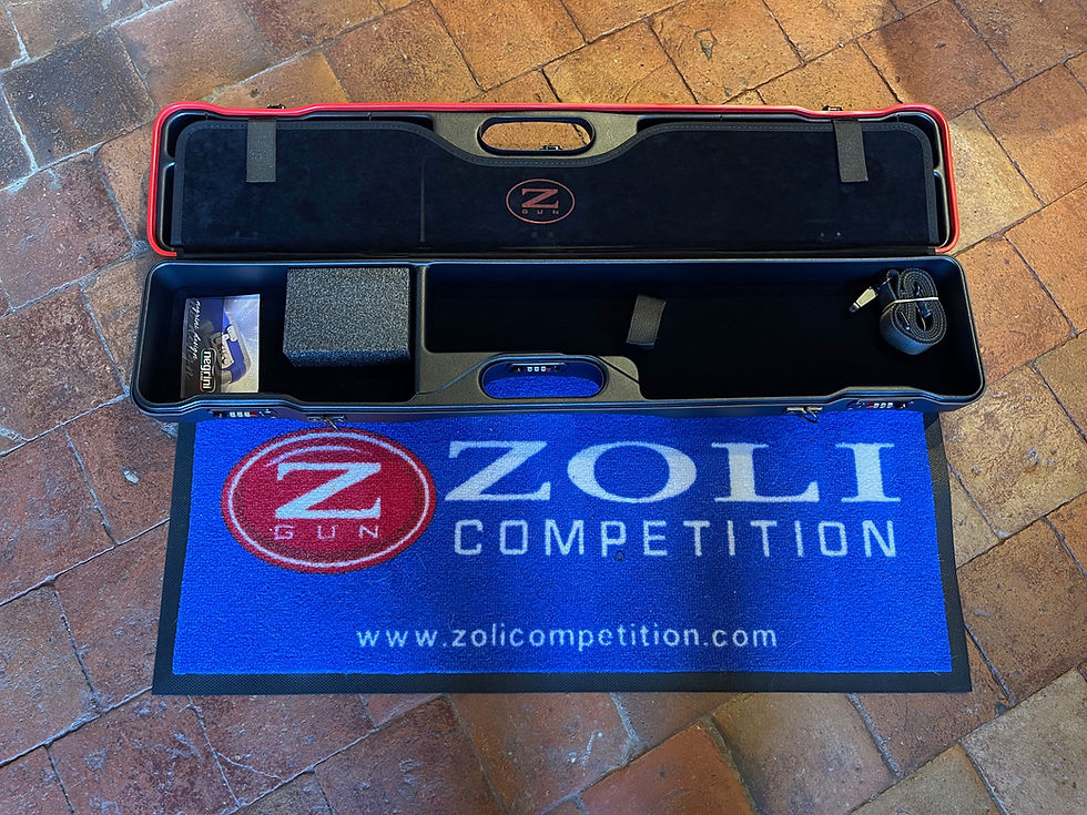 Miniature : Valise pour armes Zoli