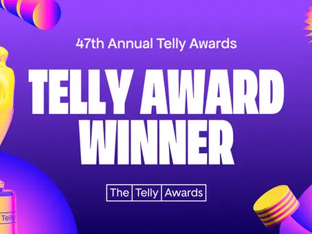 Skillsville Wins 2 Telly Awards