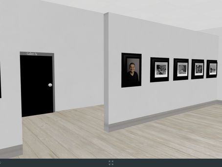 Into the Virtual World