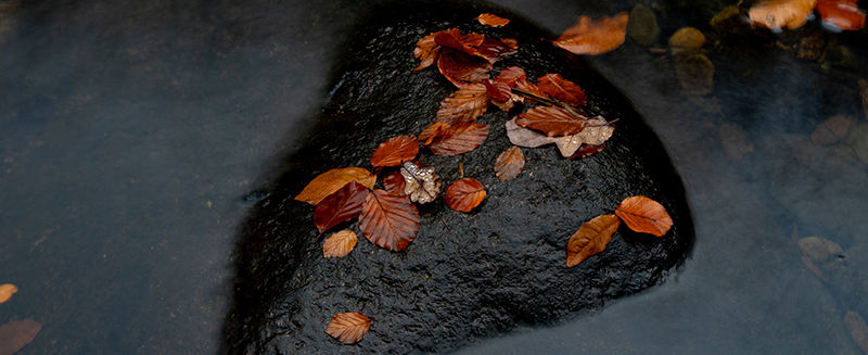 web Oct24 004A7549.jpg