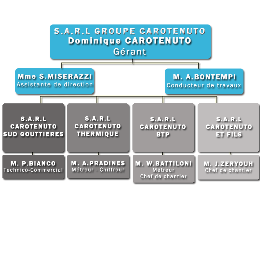 organigramme groupe carotenuto