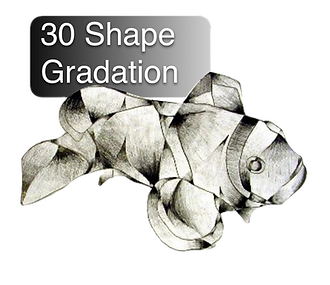 Screen%20Shot%202020-05-20%20at%2010.53_