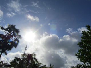 Rainbow Light