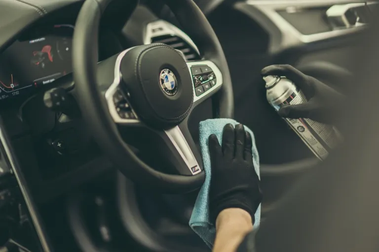 Interior Detailing | MintGroom