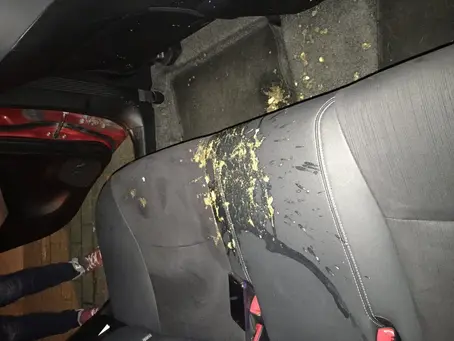 How to Clean vomit and eliminate sick smell out of your car interior