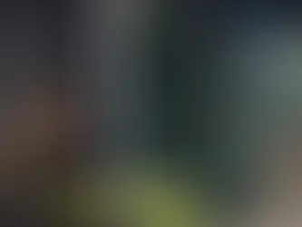 Cockroaches/Insects in Car Interior Cabin? We can solve it for you today! +65 81383125