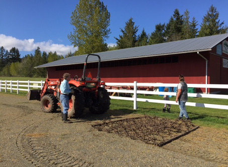 Reconditioning of the Riding Rings