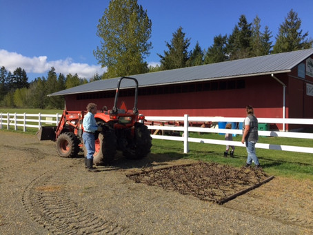 Reconditioning of the Riding Rings