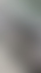 Oil-slick look of a ceramic coating applied to a black car