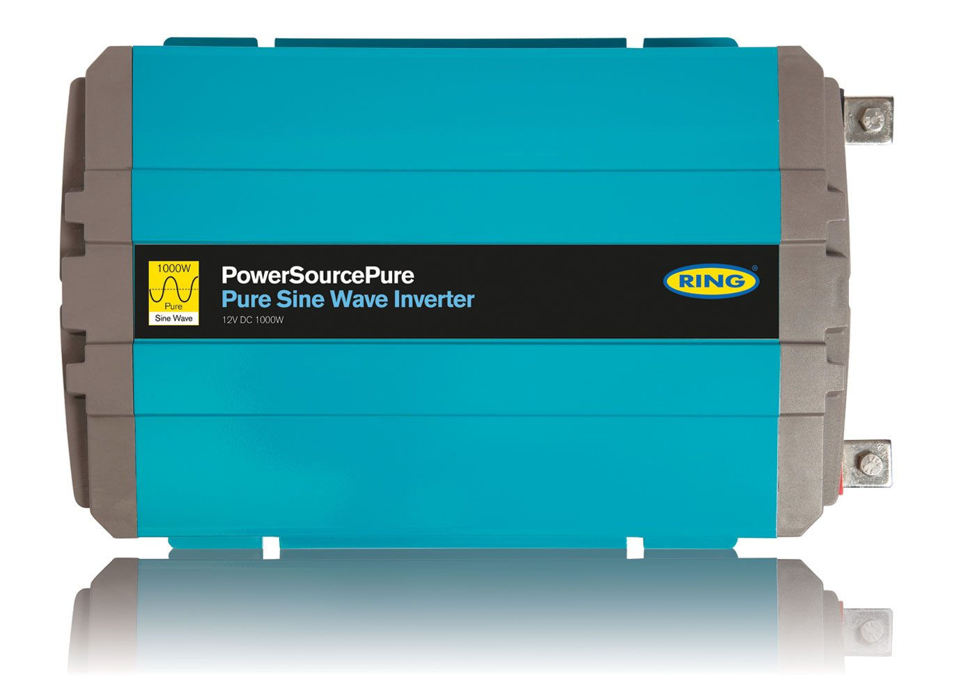 1000W 12V Pure Sine Inverter (EU)