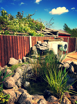 Garden water feature.