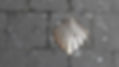 Compostella-schelp.jpg