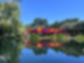 IMG_9902.jpeg
