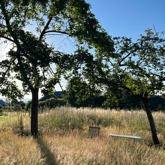 Garden and views