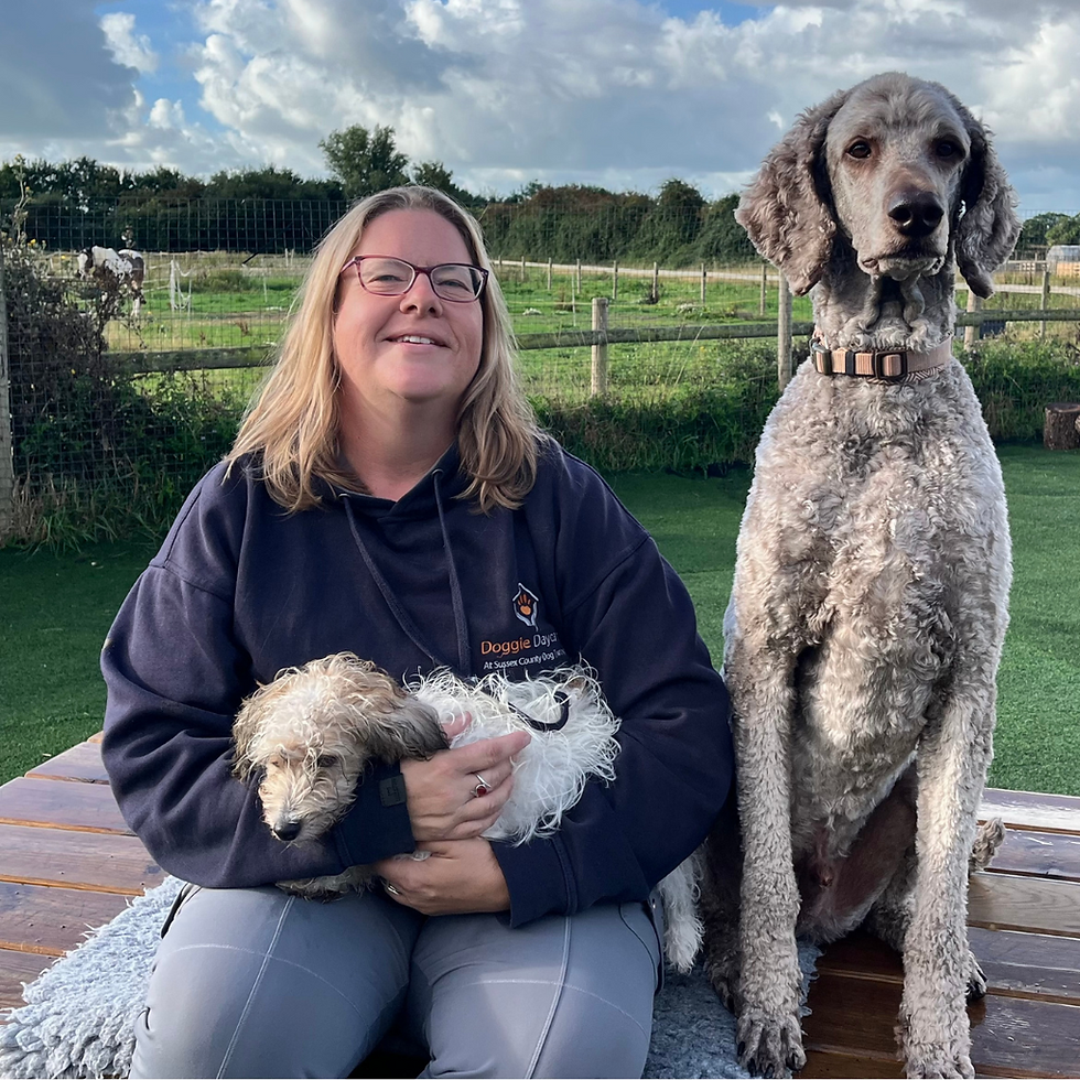 Emma, Team Member at SCDT Doggie Daycare in Sussex