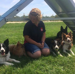 Flyball Dog Training Near Chichester